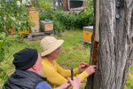 15_Zeidlerprojekt_Lasse-Marc Riek_Foto_Bienenbotschaft .jpeg