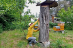19_Zeidlerprojekt_Lasse-Marc Riek_Foto_Bienenbotschaft .jpeg
