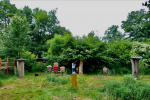22_Zeidlerprojekt_Lasse-Marc Riek_Foto_Bienenbotschaft .jpeg