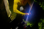 24_Zeidlerprojekt_Lasse-Marc Riek_Foto_Bienenbotschaft .jpeg