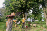 26_Zeidlerprojekt_Lasse-Marc Riek_Foto_Bienenbotschaft .jpeg