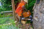 28_Zeidlerprojekt_Lasse-Marc Riek_Foto_Bienenbotschaft.jpeg