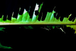 05.jpg