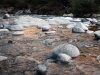 29_Rhein_rhein_strom_Riek_Siefert_Foto by Thomas Siefert.jpg