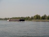 39_Rhein_rhein_strom_Riek_Siefert_Foto by Thomas Siefert.jpg