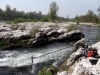 53_Rhein_rhein_strom_Riek_Siefert_Foto by Thomas Siefert.jpg