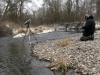56_Rhein_rhein_strom_Riek_Siefert_Foto by Thomas Siefert.jpg
