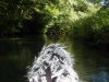 63_Rhein_rhein_strom_Riek_Siefert_Foto by Thomas Siefert.jpg