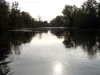 66_Rhein_rhein_strom_Riek_Siefert_Foto by Thomas Siefert.jpg